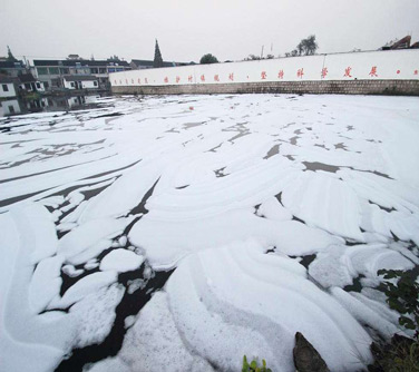 圖為泡沫對環境造成不良的影響